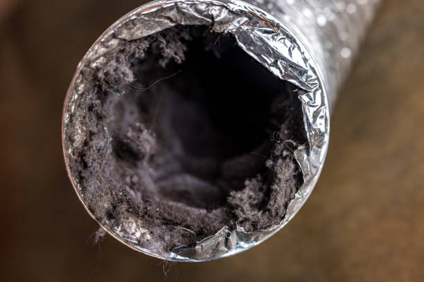 Best Air Duct Sanitizing Services  in Wellington, TX
